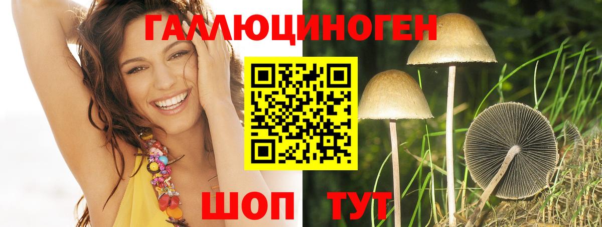 Галлюциногенные грибы ЛСД  Вход с VPN  Железногорск  Галлюциногенные грибы Psilocybine cubensis 